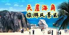 骚屄鲍鱼海南三亚-天崖海角旅游风景区